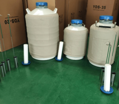 ДюОбщее__600x395