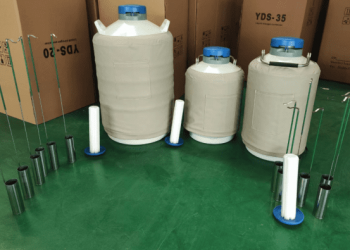 ДюОбщее__600x395