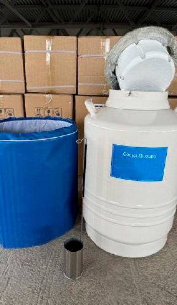 msg1576777597-75037__360x480